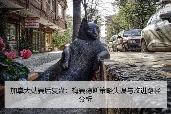 加拿大站赛后复盘：梅赛德斯策略失误与改进路径分析